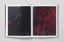 Load image into Gallery viewer, Approximate Joy