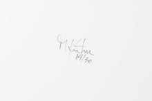 Load image into Gallery viewer, Bushes & Succulents Artists Edition