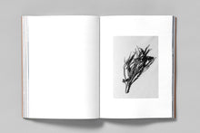 Load image into Gallery viewer, A Voice Above the Linn