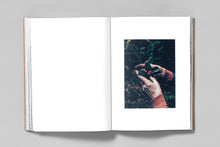 Load image into Gallery viewer, A Voice Above the Linn