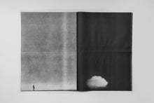 Load image into Gallery viewer, Stilled