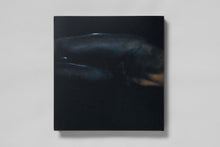 Load image into Gallery viewer, Sic Transit