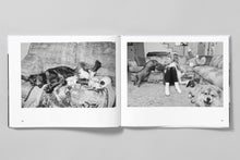 Load image into Gallery viewer, Animals