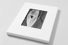 Load image into Gallery viewer, Bushes & Succulents Artists Edition