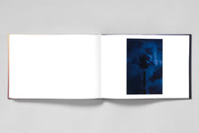 Load image into Gallery viewer, Crimson Line