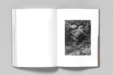 Load image into Gallery viewer, A Voice Above the Linn