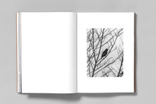 Load image into Gallery viewer, A Voice Above the Linn