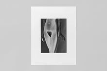 Load image into Gallery viewer, Bushes & Succulents Artists Edition