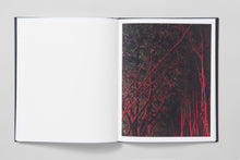 Load image into Gallery viewer, Approximate Joy