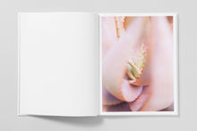 Load image into Gallery viewer, Bushes & Succulents