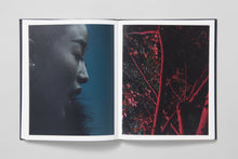 Load image into Gallery viewer, Approximate Joy