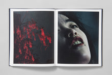 Load image into Gallery viewer, Approximate Joy