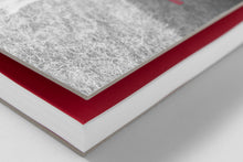 Load image into Gallery viewer, Carnival