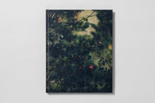 Load image into Gallery viewer, Blackwater River