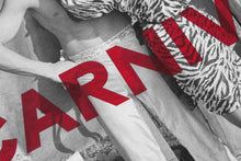 Load image into Gallery viewer, Carnival