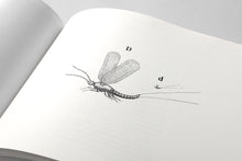 Load image into Gallery viewer, Crimson Line