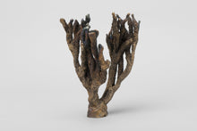 Load image into Gallery viewer, Sirensong
