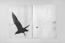 Load image into Gallery viewer, Stilled
