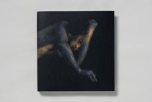 Load image into Gallery viewer, Sic Transit
