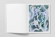 Load image into Gallery viewer, Bushes &amp; Succulents
