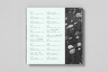 Load image into Gallery viewer, Vacation
