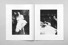 Load image into Gallery viewer, The Last Hurrah
