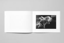 Load image into Gallery viewer, Fifteen Miles to K-Ville
