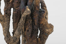 Load image into Gallery viewer, Sirensong
