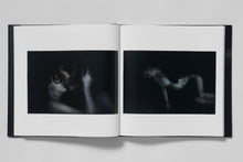 Load image into Gallery viewer, Sic Transit
