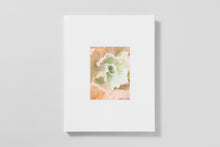 Load image into Gallery viewer, Bushes &amp; Succulents
