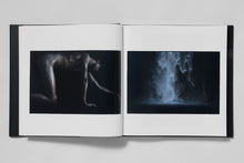 Load image into Gallery viewer, Sic Transit
